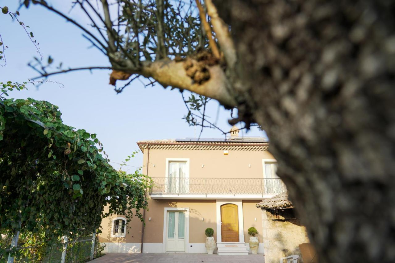 B&B La Maddalena Passo di Mirabella Eksteriør bilde